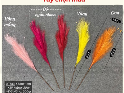 Cành cỏ lau nhiều màu sợi nhân tạo [Sợi tơi - Bung đều] D40-80cm CANHLA-08